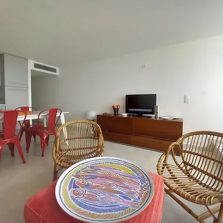 Terrasses De La Διαμέρισμα Κάννες